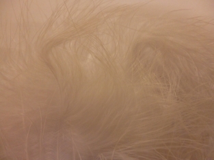 Marabou White